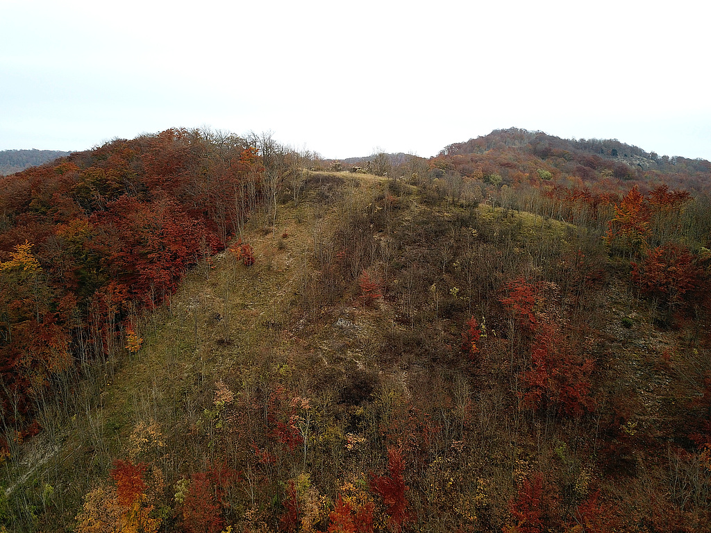 NSG 68, Blick nach Osten auf den ehemaligen Grenzstreifen (Nationales Naturmonument „Grünes Band Thüringen“) am Iberg östlich Asbach (Landkreis Eichsfeld) und rechts dahinter auf den Hesselkopf (Hesselkuppe). (Foto: Holm Wenzel 30.10.2021)