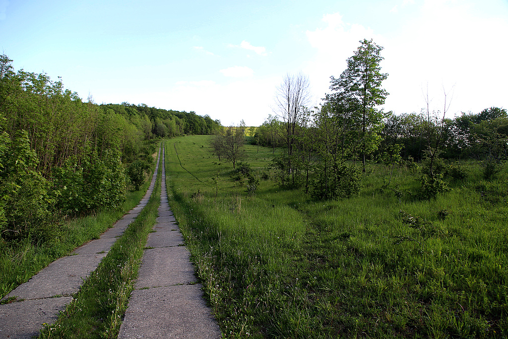 NSG 68, Blick von der Südostseite des Hesselkopfes nach Süden auf den ehemaligen Grenzstreifen (Nationales Naturmonument „Grünes Band Thüringen“) am Hesselwald in der Gemarkung Wiesenfeld (Landkreis Eichsfeld). (Foto: Holm Wenzel 25.05.2019)