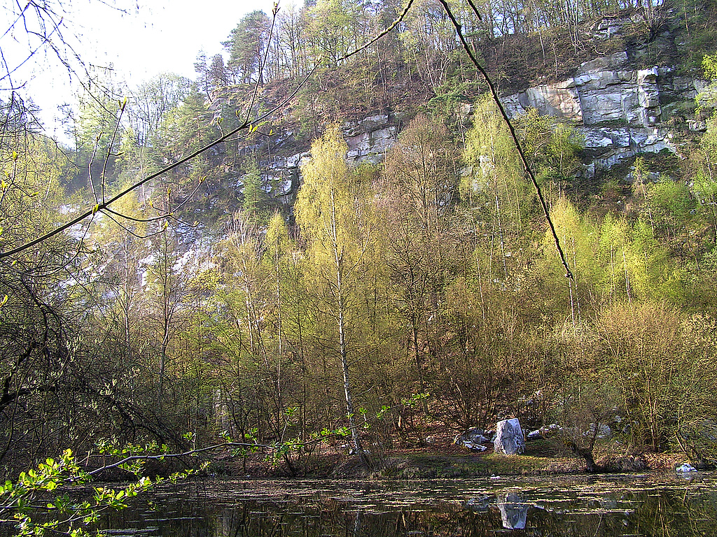 NSG 72, Blick über den Tanzteich – ein Gipskarstsee auf gipshaltigem Untergrund – auf den Steilabfall am Nordhang des Mühlberges mit seinen Gipsfelsen (NSG “Mühlberg”, Landkreis Nordhausen). (Foto: Büro RANA/Archiv TLUBN, 14.04.2009)