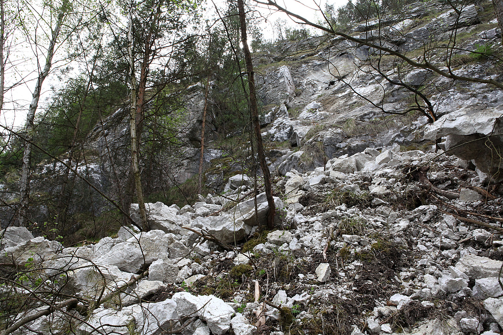 NSG 72, Gipsfelsen mit frisch abgebrochenem Gipsschutt am steilen Nordabfall des Mühlberges (Refugialfläche im NSG “Mühlberg”, Landkreis Nordhausen). (Foto: Holm Wenzel, 29.04.2012)