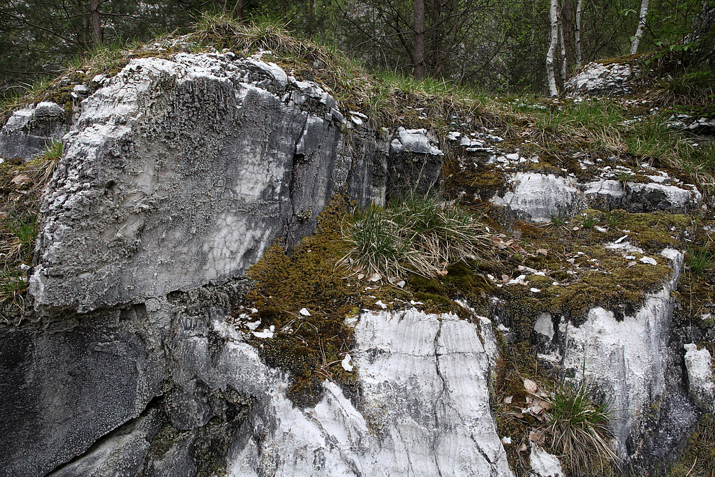 NSG 72, Gipsfelsen am steilen Nordabfall des Mühlberges (Refugialfläche im NSG “Mühlberg”, Landkreis Nordhausen). (Foto: Holm Wenzel, 29.04.2012)