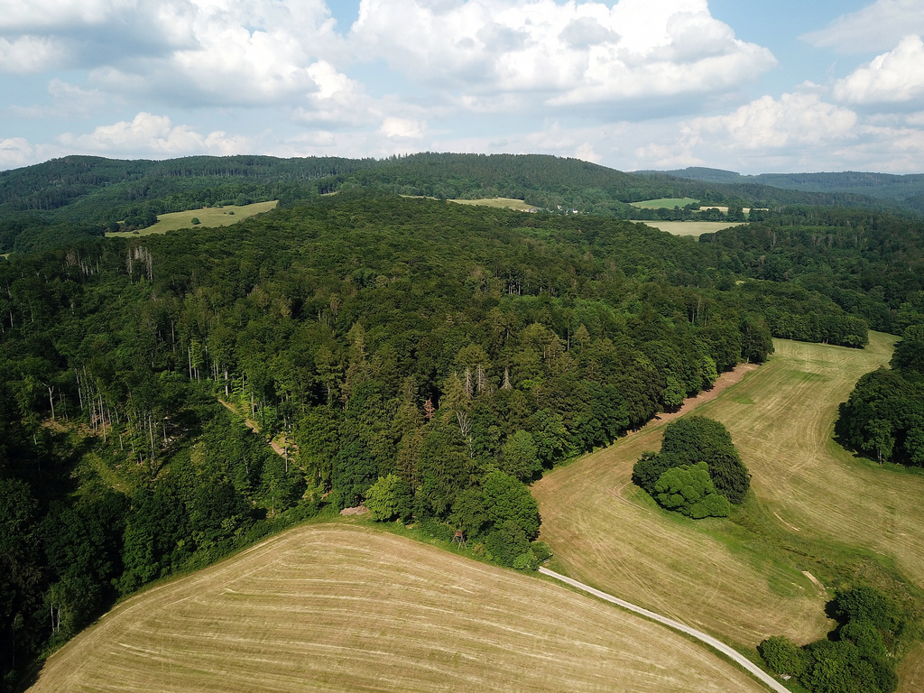 NSG 098, Blick von Westsüdwest auf den zentralen Teil des NSG „Hohe Klinge – Dorngehege“ nordöstlich von Bairoda (Wartburgkreis) mit Hochheimer Holz (Bildmitte links), Hohe Klinge (Bildmitte) und Dorngehege (Bildmitte rechts). (Foto: Holm Wenzel, 10.06.2023)