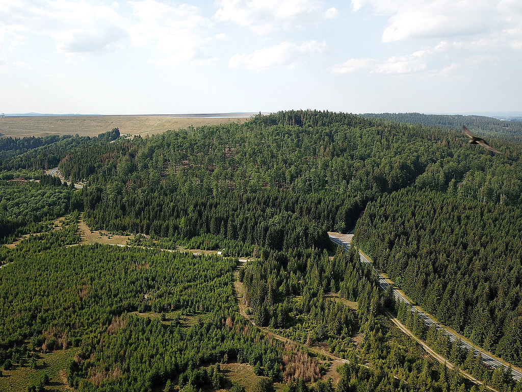 NSG 118, Blick von Süden auf den Großen Farmdenkopf (866,8 m ü. NHN) im NSG „Wurzelbergfarmde“ (nördlich der Straße Scheibe-Alsbach – Goldisthal, Landkreis Sonneberg), links dahinter das Oberbecken des Pumpspeicherwerkes Goldisthal. (Holm Wenzel, 18.06.2023)