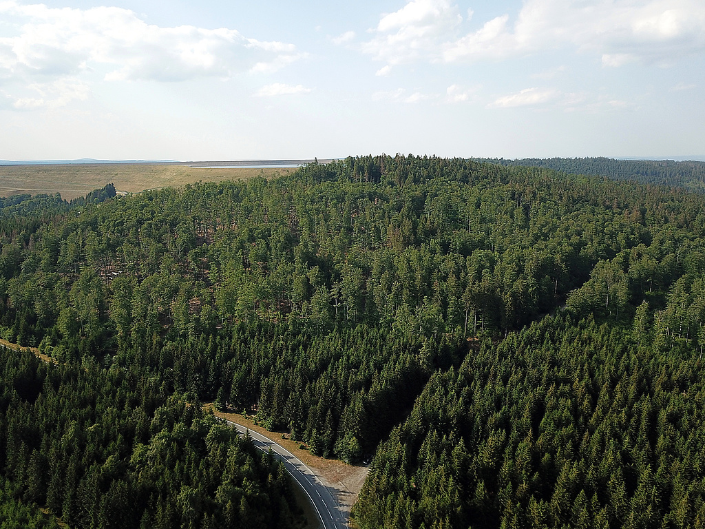 NSG 118, Blick von Süden auf den Großen Farmdenkopf (866,8 m ü. NHN) im NSG „Wurzelbergfarmde“ (nördlich der Straße Scheibe-Alsbach – Goldisthal, Landkreis Sonneberg), links dahinter das Oberbecken des Pumpspeicherwerkes Goldisthal. (Holm Wenzel, 18.06.2023)