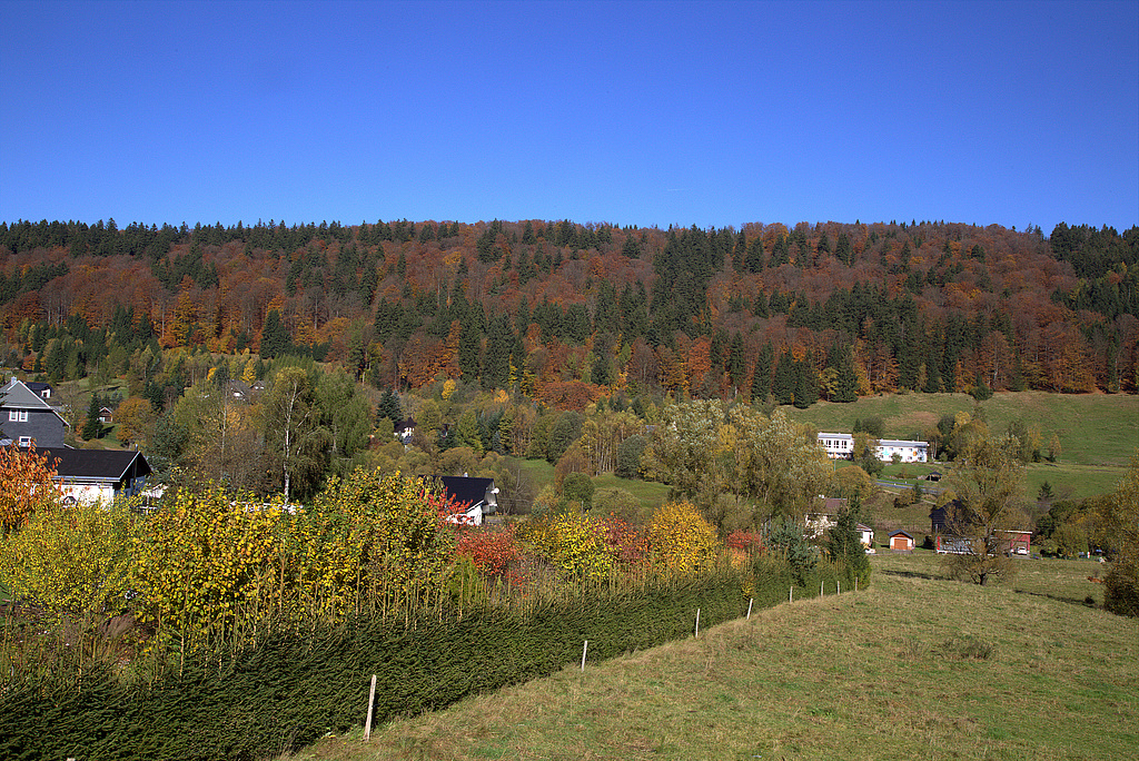 NSG 119, Blick von Süden über nördlichen Ortsrand von Scheibe-Alsbach auf das NSG „Löschleite“ (Landkreis Sonneberg) mit Hainsimsen-Buchenwald. (Foto: Holm Wenzel, 15.10.2017)
