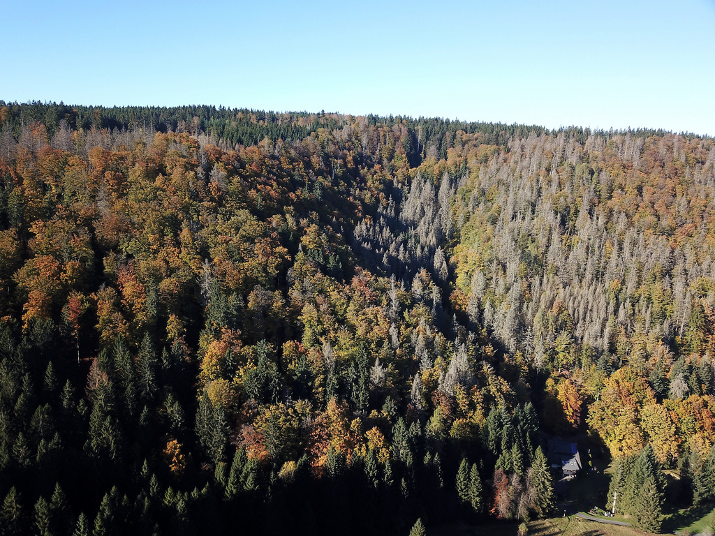 NSG 120, Blick nach Nordnordwest auf den südwestlichen und mittleren Teil des NSG „Leierloch“ an der Südostwand des Fellberges bei Steinach (Landkreis Sonneberg). Unten rechts: Gaststätte Waldfrieden (= „Fuchsfarm“) (Foto: Holm Wenzel, 24.10.2021)