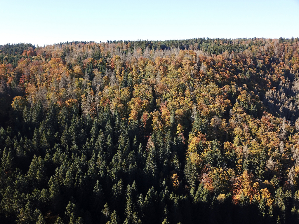 NSG 120, Blick nach Nordwesten auf den südwestlichen und mittleren Teil des NSG „Leierloch“ an der Südostwand des Fellberges bei Steinach (Landkreis Sonneberg). (Foto: Holm Wenzel, 24.10.2021)