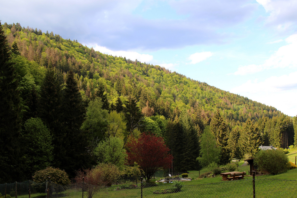 NSG 120, Blick vom Westrand der Dürren Wiesen nach Nordosten auf das NSG „Leierloch“ an der Südostwand des Fellberges bei Steinach (Landkreis Sonneberg). (Foto: Holm Wenzel, 18.05.2019)