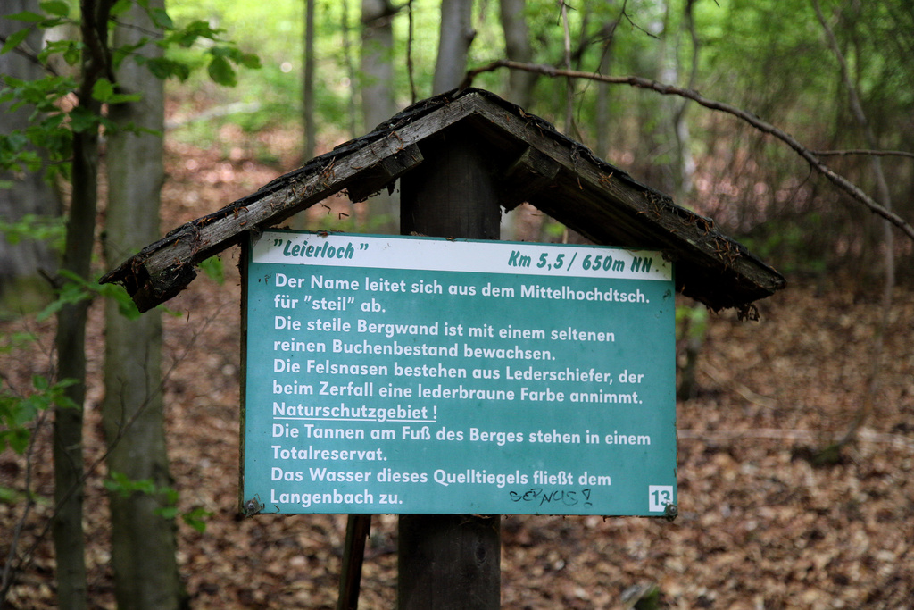 NSG 120, Kleine Informationstafel an Wanderweg im Mittelhang des NSG „Leierloch“ an der Südostwand des Fellberges bei Steinach (Landkreis Sonneberg). (Foto: Holm Wenzel, 18.05.2019)