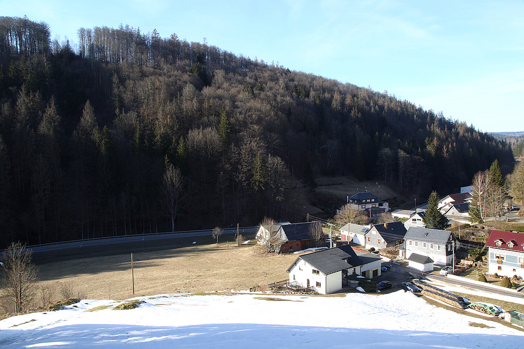 NSG 124, Blick von Südosten über die Siedlung Georgshütte (Stadt Sonneberg) auf den Südteil des NSG „Georgshütte“ (Landkreis Sonneberg) mit aus der forstlichen Nutzung genommenem Zwiebelzahnwurz-Buchenwald (= montane Ausbildung des Waldmeister-Buchenwaldes). Die Fichten sind nach Borkenkäferbefall 2021-2022 weitestgehend entfernt worden. (Foto: Holm Wenzel 06.03.2021)