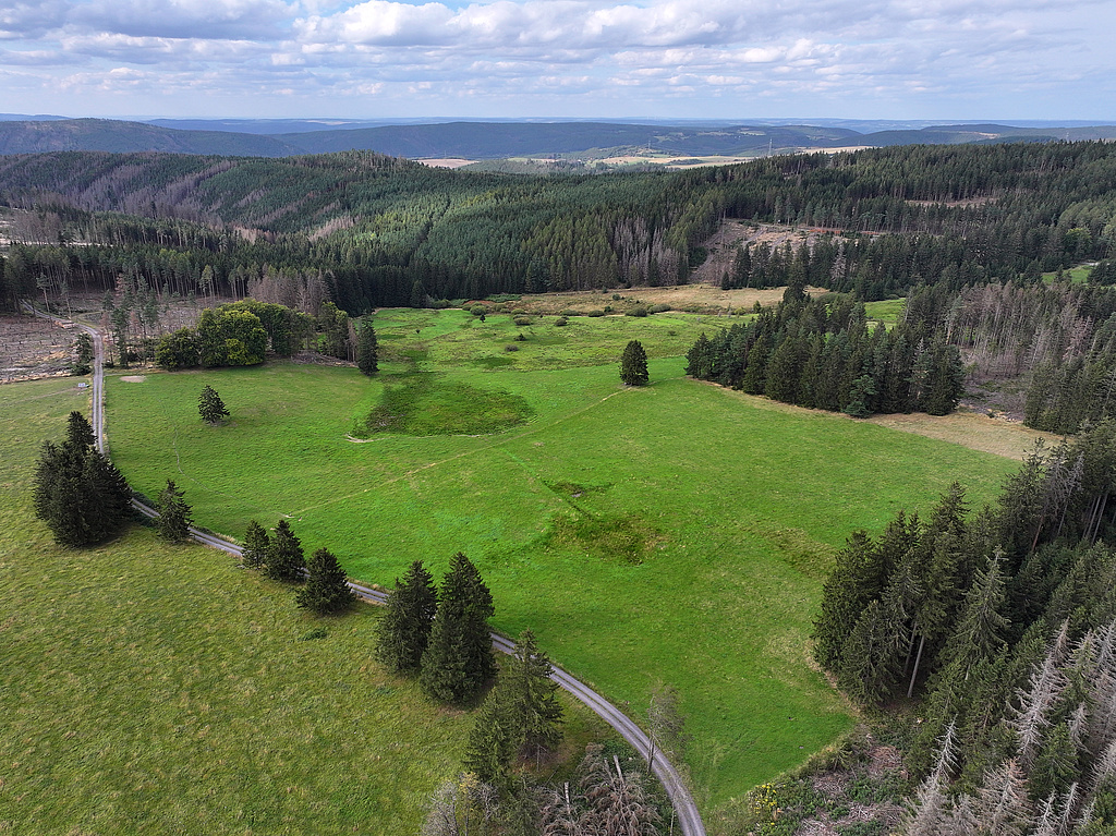 NSG 142, Blick von Südosten auf die Brandiskirchenwiese, das Quellgebiet des Brandisbaches und dahinter die Brandisleite, den Brandisgrund (nach hinten links) und den Töpfersbühl (oben rechts) im östlichen Teil des NSG „Assberg – Hasenleite“, hier nordwestlich bis nördlich Reichmannsdorf (Landkreis Saalfeld-Rudolstadt). (Foto: Holm Wenzel, 25.08.2024)