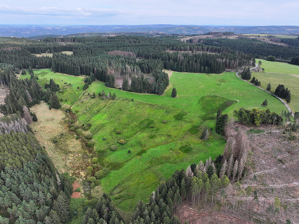 NSG 142, Blick von Nordwesten auf die Brandiskirchenwiese und das Quellgebiet des Brandisbaches im östlichen Teil des NSG „Assberg – Hasenleite“, hier nordnordwestlich Reichmannsdorf (Landkreis Saalfeld-Rudolstadt). (Foto: Holm Wenzel, 25.08.2024)