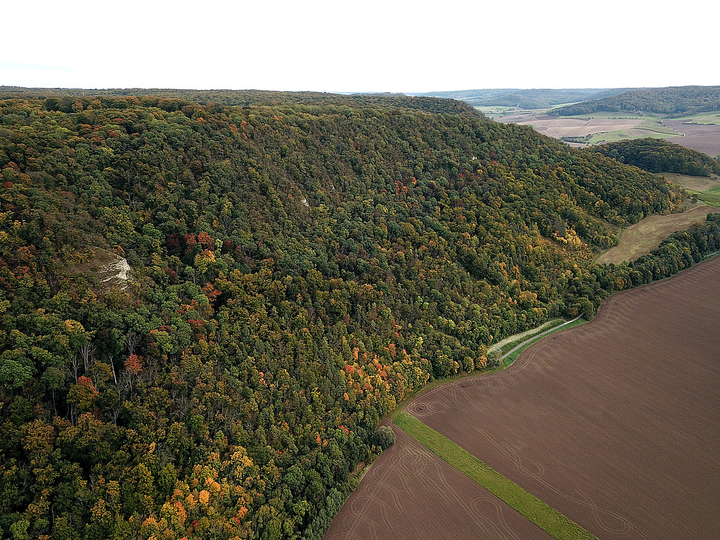 NSG 147, Blick von Nordwesten auf den der Sukzession überlassenen Steilhang zur Saale mit Felsköpfen am westlichen Muschelkalkplateau-Rand der Hohen Lehde im NSG „Hohe Lehde“ (Saale-Holzland-Kreis). (Foto: Holm Wenzel, 17.10.2021)