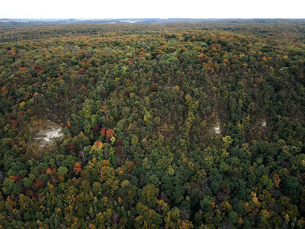 NSG 147, Blick von Südwesten auf den mittleren Teil des Steilhanges zur Saale mit Felsköpfen am westlichen Muschelkalkplateau-Rand der Hohen Lehde im NSG „Hohe Lehde“ (Saale-Holzland-Kreis). (Foto: Holm Wenzel, 17.10.2021)