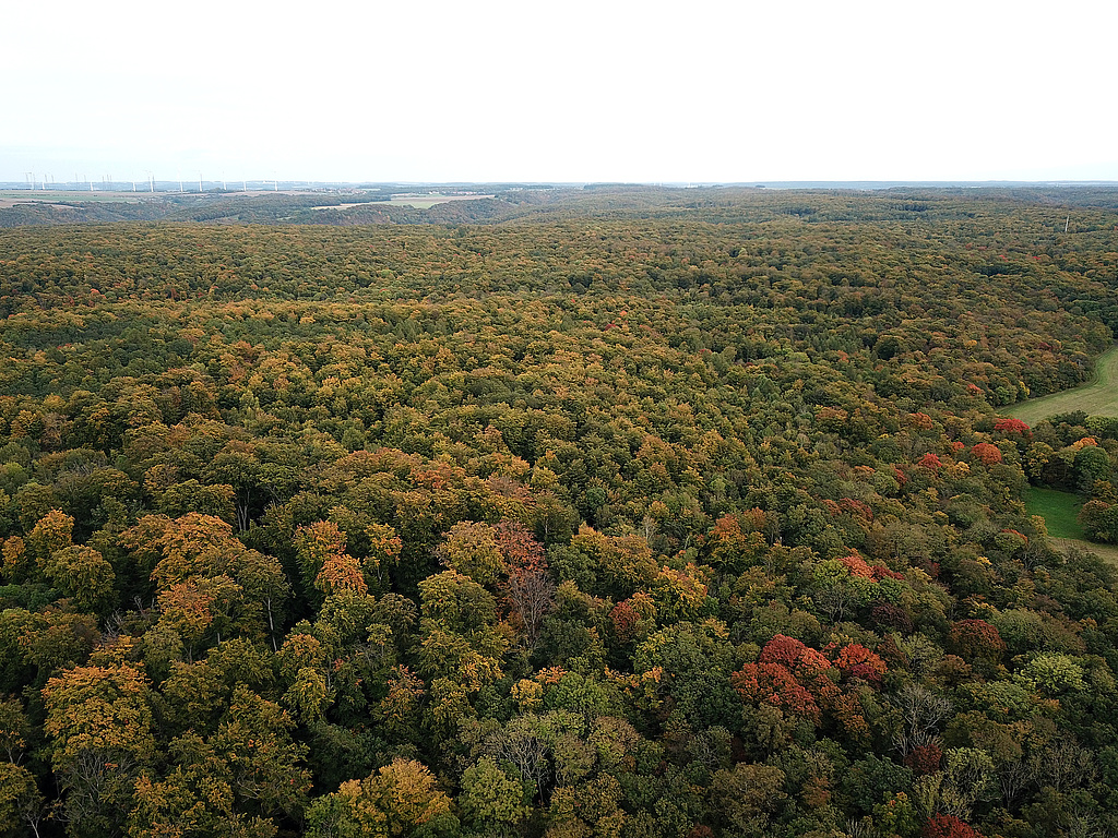 NSG 147, Blick von Westen auf den zentralen und östlichen Teil des Muschelkalkplateaus der Hohen Lehde im NSG „Hohe Lehde“ (vordere Bildhälfte, Saale-Holzland-Kreis).  (Foto: Holm Wenzel, 17.10.2021)