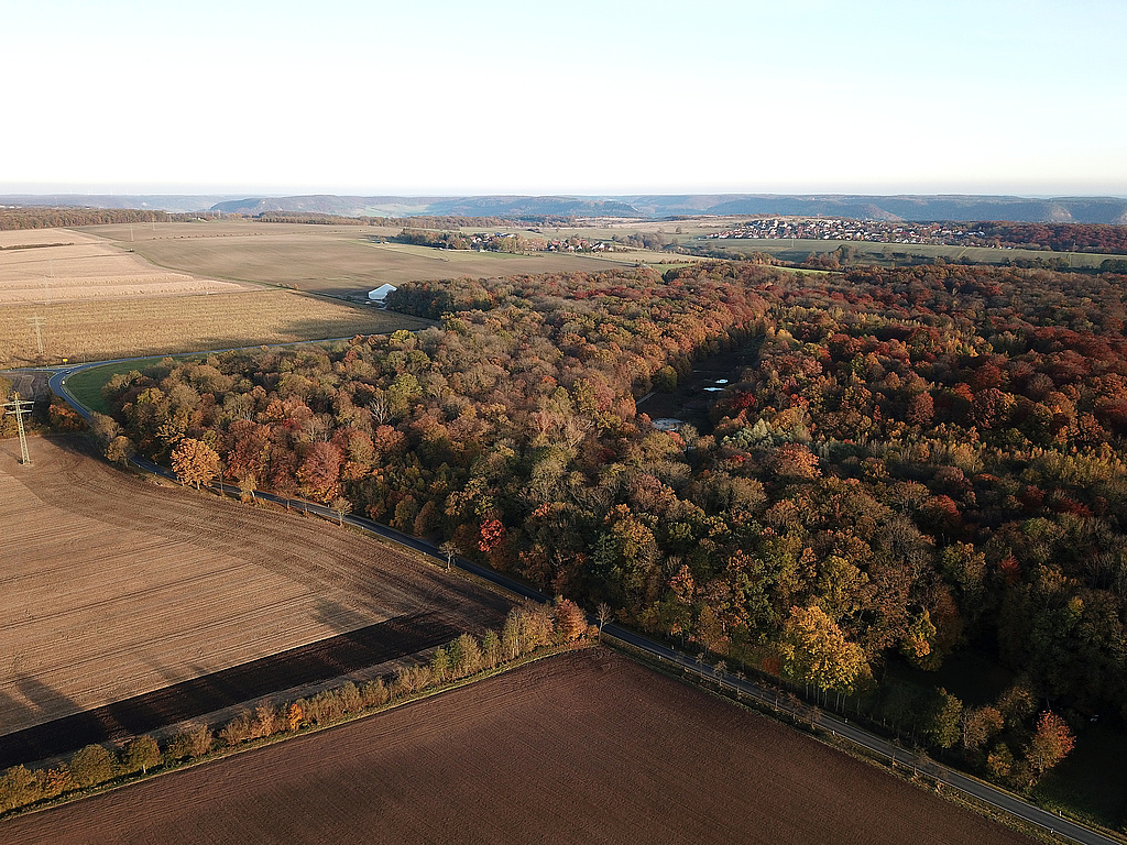 NSG 148, Blick von Westnordwest auf den nordöstlichen Teil des NSG „Isserstedter Holz“ (Teil der NSG-Erweiterung von 1997 mit dem ehemaligen Munitionslager). In der Bildmitte hinten: Lützeroda, hinten rechts: Cospeda (beide Stadt Jena). Die Straße Isserstedt – Lützeroda begrenzt das NSG im Norden und Nordosten. (Foto: Holm Wenzel, 29.10.2021)