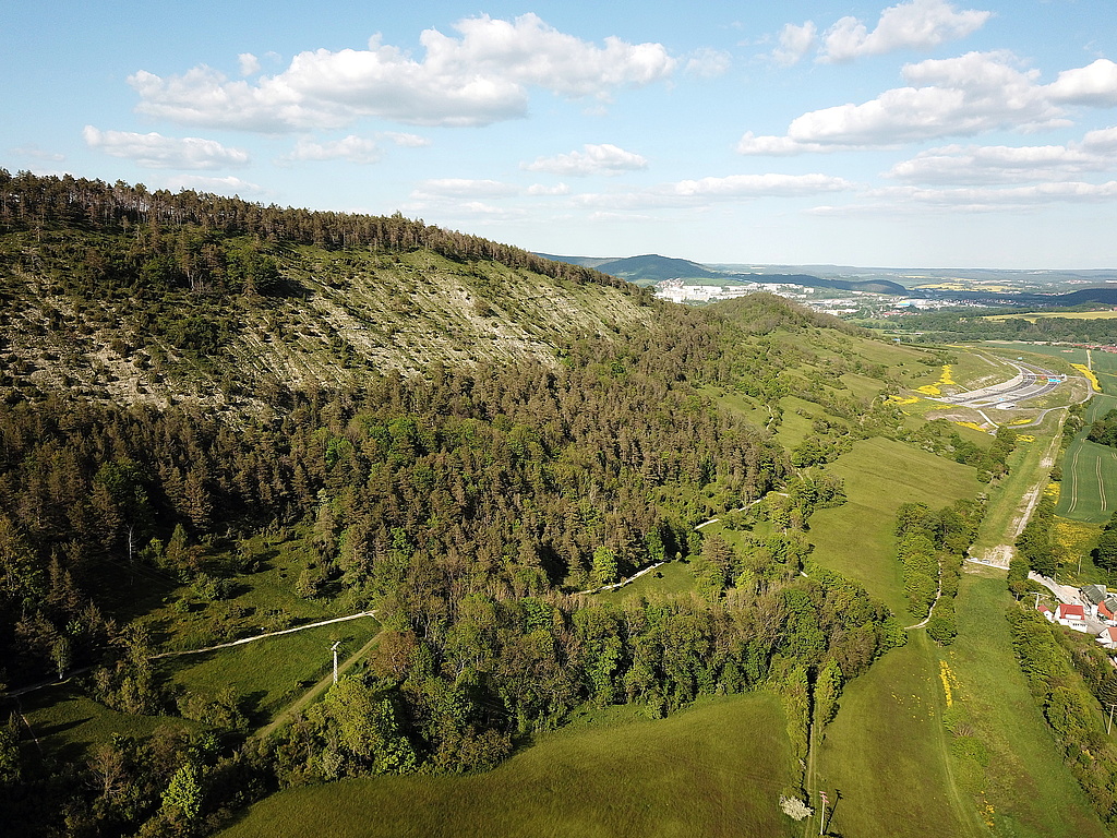 NSG 150, Blick nach Ostnordost auf den östlichen Teil des Leutratals (hier: südexponierte Nordseite mit Muschelkalk-Steilhang) Richtung Jagdberg im Südosten des NSG „Leutratal und Cospoth“ bei Leutra (kreisfreie Stadt Jena). Rechts am Rand: Zurückgebaute Trasse der Bundesautobahn A4. (Foto: Holm Wenzel, 30.05.2021)