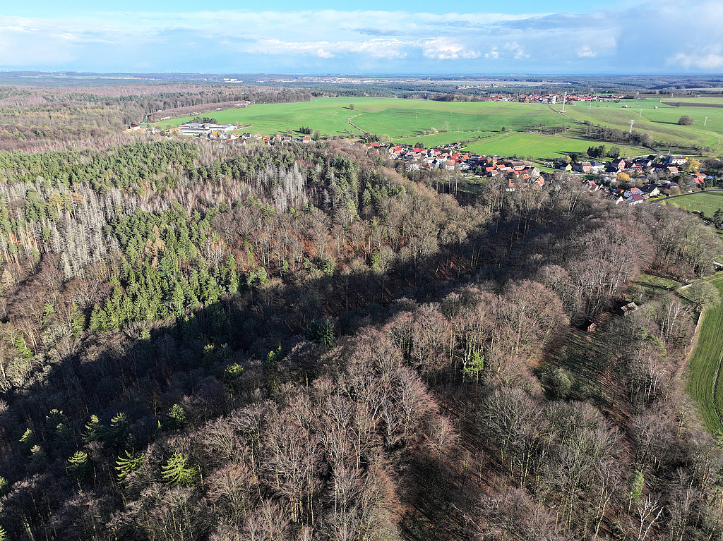 NSG 155, Blick von Westen über den südlichen Teil des Schloßgrabens auf das Plateau des Brands im NSG „Waldecker Schloßgrund“ nördlich der Ortslage Waldeck (Saale-Holzland-Kreis). (Foto: Holm Wenzel 23.03.2024)