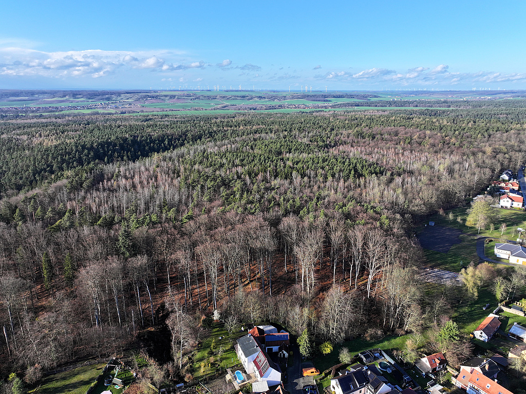 NSG 155, Blick von Süden über den südöstlichen Teil des Schloßgrabens auf das Plateau des Brands im NSG „Waldecker Schloßgrund“ nördlich der Ortslage Waldeck (Saale-Holzland-Kreis). (Foto: Holm Wenzel 23.03.2024)