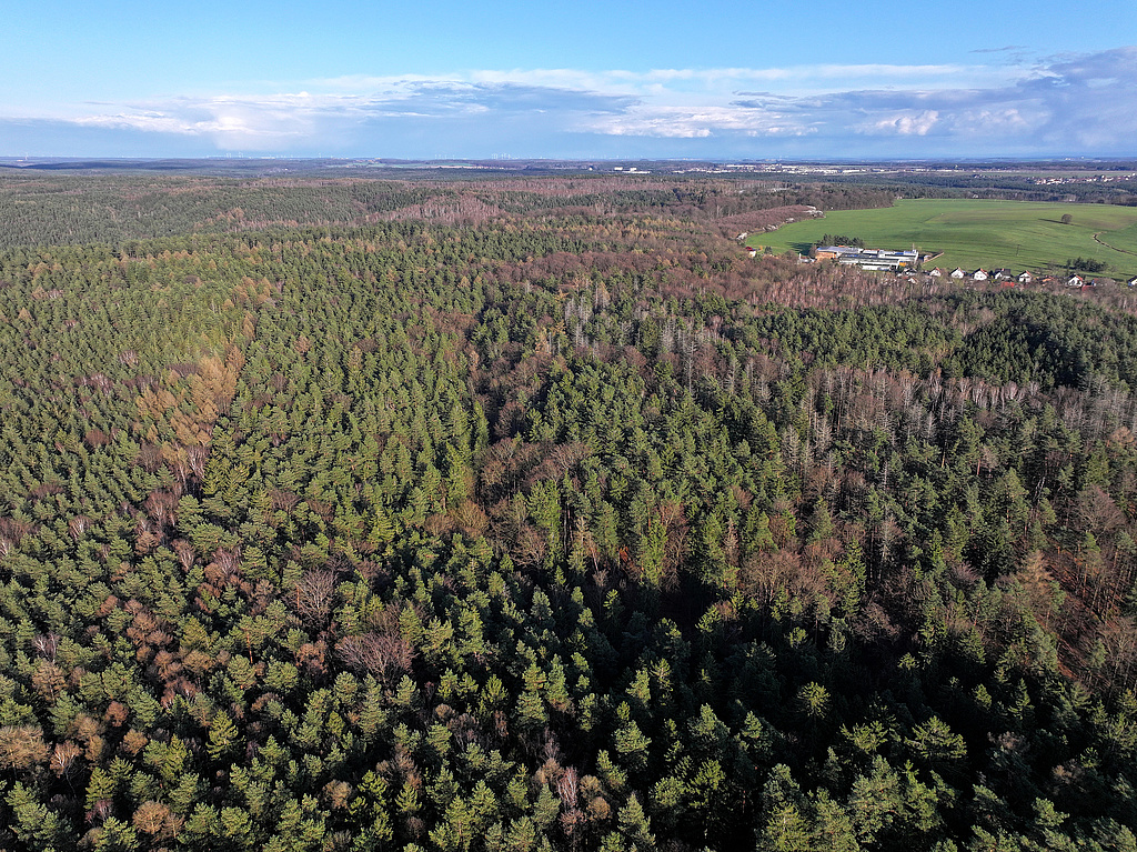 NSG 155, Blick von Südwesten auf den Schloßgrund (= Wolfsschlucht, Bildmitte bis rechts vorn) im Zentrum des NSG „Waldecker Schloßgrund“ (Saale-Holzland-Kreis). Links davon: Plateau des Hausberges, rechts davon: Plateau des Brands am nordöstlichen Rand der Ortslage Waldeck. (Foto: Holm Wenzel 23.03.2024)