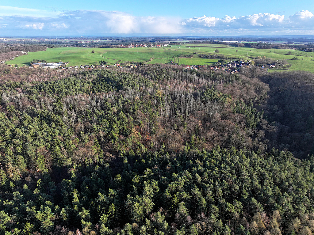 NSG 155, Blick von Nordnordwest über den Schloßgrund (= Wolfsschlucht, vorn) zum Plateau des Brands bis zum nordöstlichen Ortsrand von Waldeck (Saale-Holzland-Kreis). Rechts: Oberer Schloßgraben. (Foto: Holm Wenzel 23.03.2024)