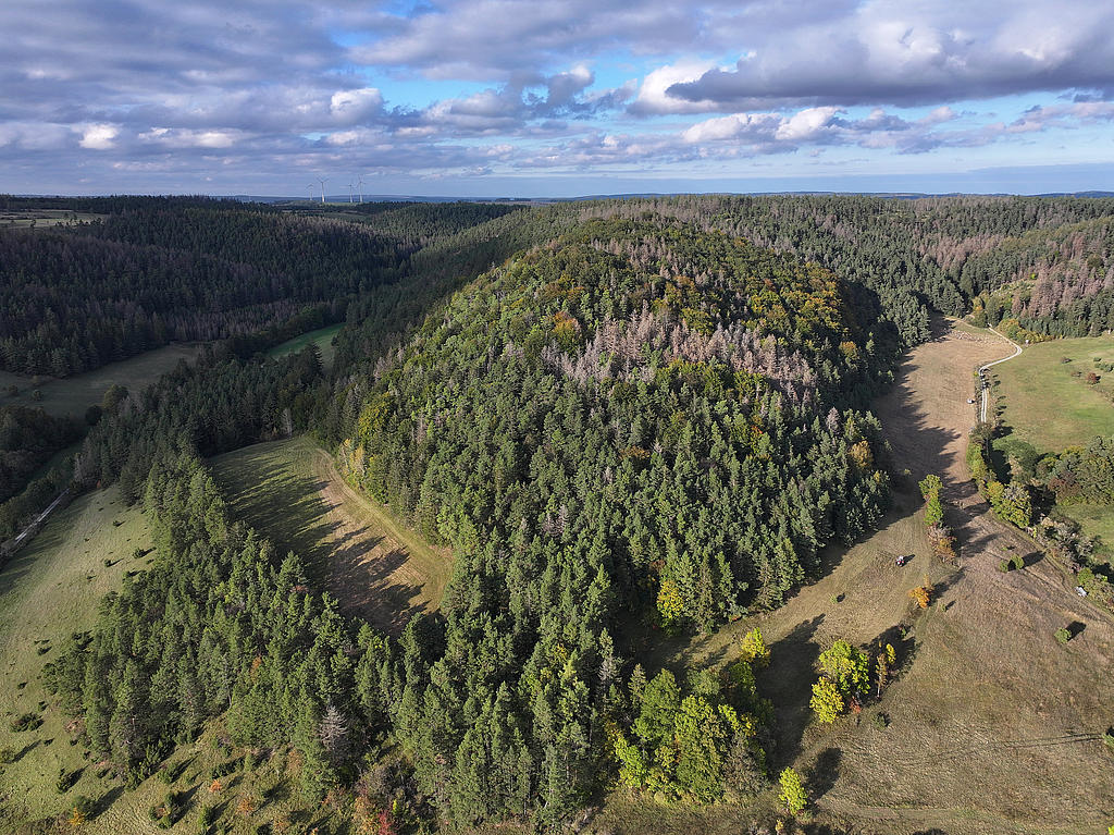 NSG 156, Blick von Südwesten auf das NSG „Eichberg und Talgrube“ nordnordwestlich Heilsberg (Stadt Rudolstadt, Landkreis Saalfeld-Rudolstadt) mit Waldfläche ohne forstliche Nutzung im westlichen und südlichen Teil. (Foto: Holm Wenzel, 06.10.2024)