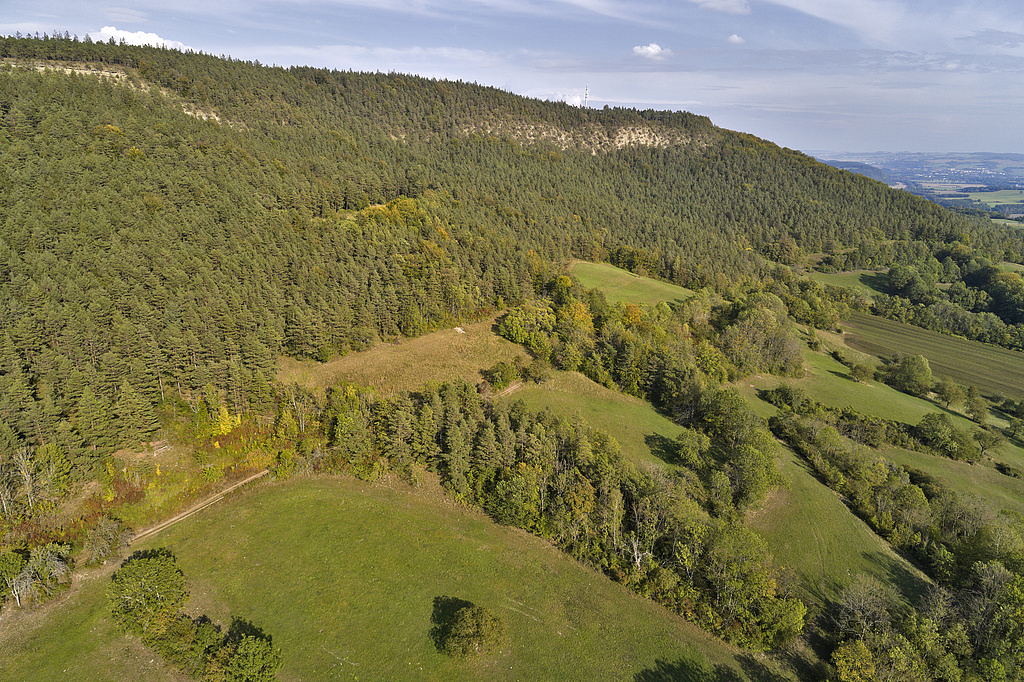 NSG 158, Blick von Südwesten auf die südwestexponierten Muschelkalk-Steilhänge der östlichen Gölitzwände im NSG "Greifenstein und östliche Gölitzwände" bei Bad Blankenburg (Landkreis Saalfeld-Rudolstadt). (Foto: V. Lautenbach/ThINK GmbH 23.09.2020, Archiv TLUBN)