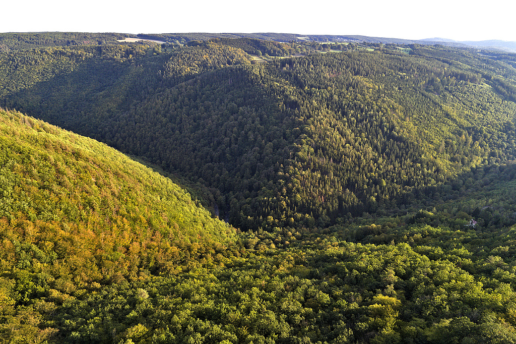 NSG 159, Blick von Norden (aus Richtung Böhlscheiben) auf das Kerbtal des unteren Schwarzatals im NSG „Schwarzatal“ (Landkreis Saalfeld-Rudolstadt). Bildmitte und linkes oberes Bildviertel: Breite Leite bis Kaltes Dorf (auch Waldgebiet ohne forstliche Nutzung), linkes unteres Bildviertel: Hänge westlich und südwestlich des Fürstenstandes, rechtes unteres Bildviertel: ehemalige Schieferbrüche mit Naturschutzstation „Dr. Helmut Steuer“, ganz rechts im rechten oberen Bildviertel (auch Waldgebiet ohne forstliche Nutzung, geplante NSG-Erweiterung): Hänge Richtung Dürres Schild. (Foto: V. Lautenbach/ThINK GmbH/Archiv TLUBN, 23.09.2020)