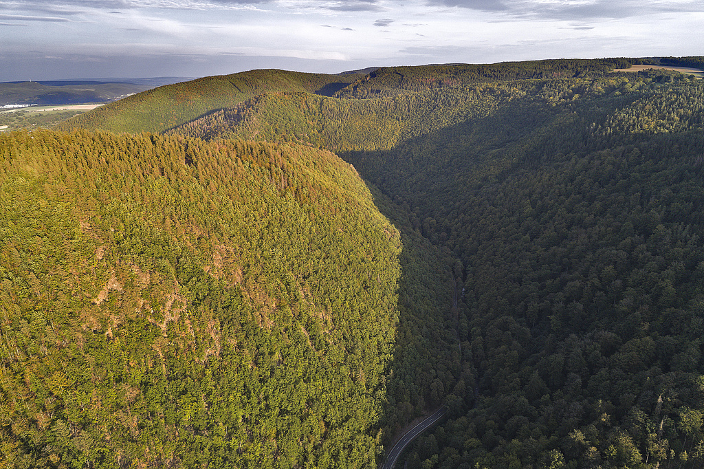 NSG 159, Blick von Westen auf das Kerbtal des unteren Schwarzatals im NSG „Schwarzatal“ (Landkreis Saalfeld-Rudolstadt). Linke Bildhälfte: Hänge südwestlich und südlich des Fürstenstandes, dahinter: Hunnenkuppe und Hainberg (beides rechtsseitig der Schwarza Waldgebiet ohne forstliche Nutzung), rechte Bildhälfte: Breite Leite bis Kaltes Dorf, weiter bis Hunnenkuppe (alles Waldgebiet ohne forstliche Nutzung). (Foto: V. Lautenbach/ThINK GmbH/Archiv TLUBN, 23.09.2020)