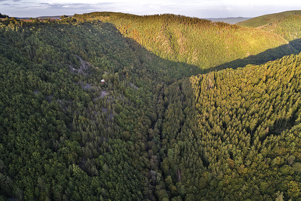 NSG 159, Blick von Südwesten auf das Kerbtal des unteren Schwarzatals im NSG „Schwarzatal“ (Landkreis Saalfeld-Rudolstadt) mit den ehemaligen Schieferbrüchen südsüdwestlich Böhlscheiben und darin der Naturschutzstation „Dr. Helmut Steuer“. Hinten: Hänge südwestlich des Fürstenstandes. Rechtes unteres Bildviertel: Breite Leite Richtung Dürres Schild (Waldgebiet ohne forstliche Nutzung, geplante NSG-Erweiterung). (Foto: V. Lautenbach/ThINK GmbH/Archiv TLUBN, 23.09.2020)