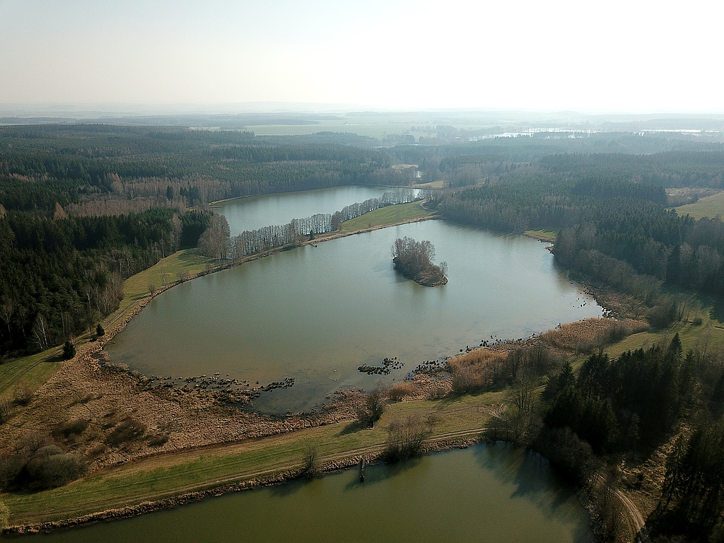 NSG 163, Blick von Norden auf den Roten Hielteich II (mit Insel) im Nordosten des NSG „Dreba-Plothener Teichgebiet“ (Saale-Orla-Kreis). Dahinter (nicht im NSG): Roter Hielteich (I). (Foto: Holm Wenzel, 28.03.2020)