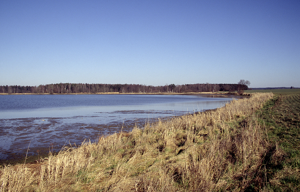 NSG 163, Moosteich westlich Plothen an der Straße nach Knau im Zentrum des NSG „Dreba-Plothener Teichgebiet“ (Saale-Orla-Kreis). (Foto: Holm Wenzel, 18.02.2007)