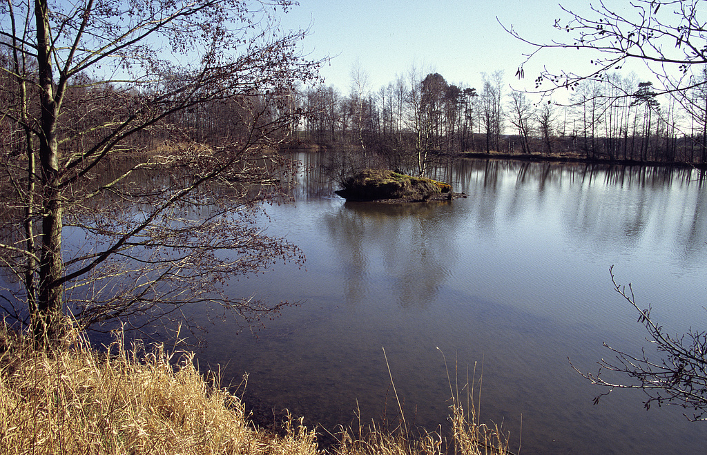 NSG 163, Landkameradteich nordöstlich des Moosteiches westlich Plothen im Zentrum des NSG „Dreba-Plothener Teichgebiet“ (Saale-Orla-Kreis). (Foto: Holm Wenzel, 18.02.2007)