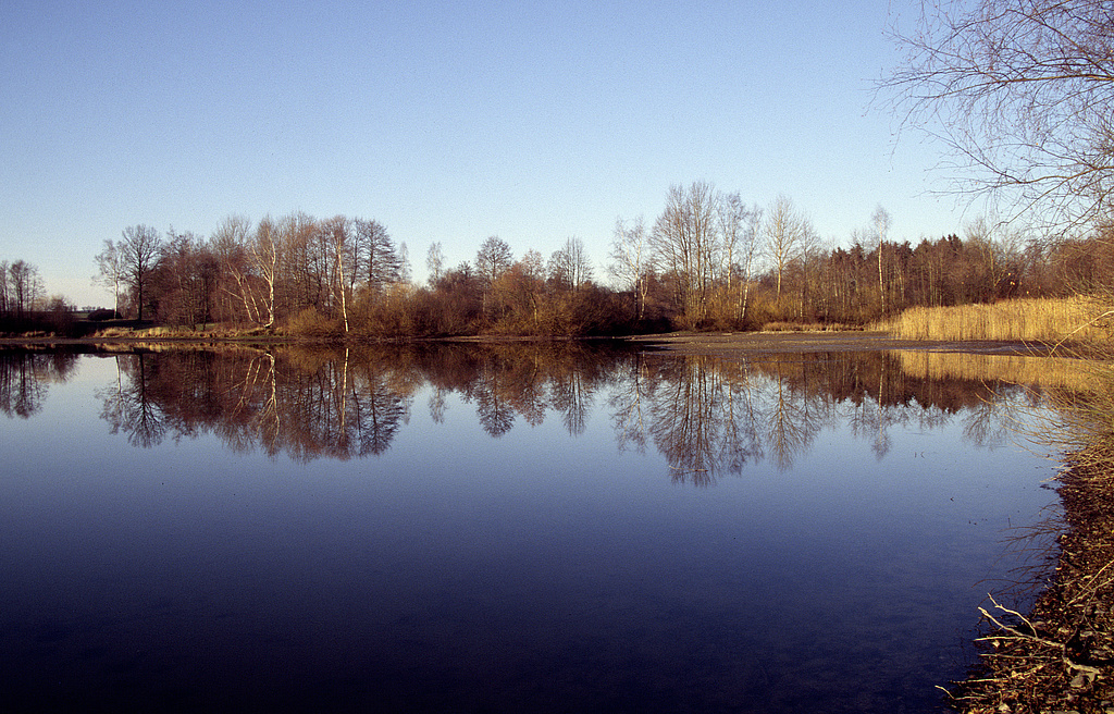 NSG 163, Meisgeierteich nordöstlich des Alten Teiches südlich Dreba im Zentrum des NSG „Dreba-Plothener Teichgebiet“ (Saale-Orla-Kreis). (Foto: Holm Wenzel, 18.02.2007)
