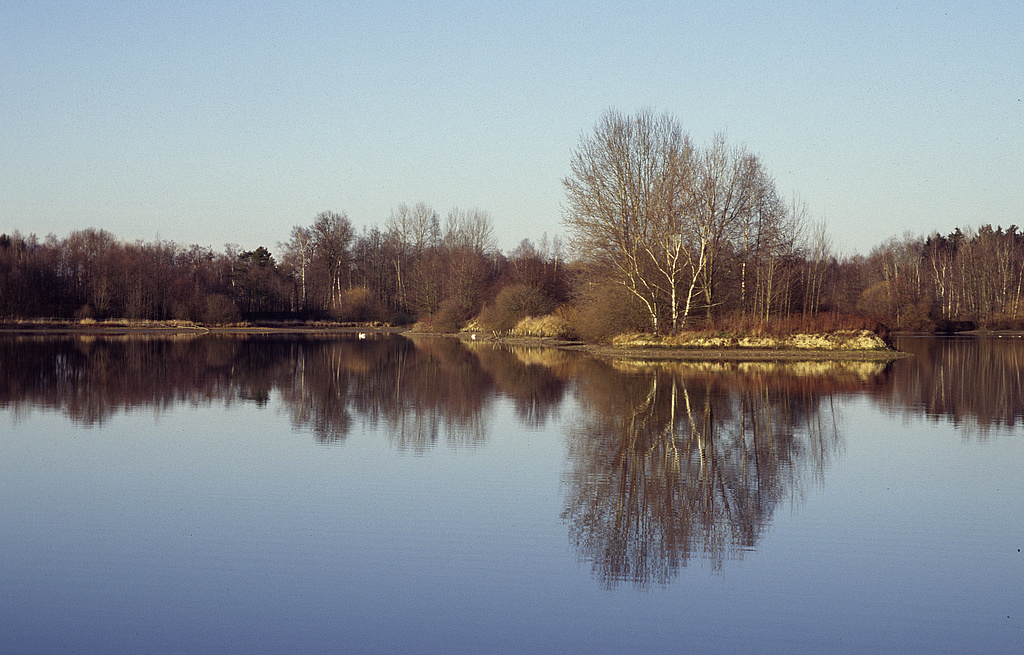 NSG 163, Meisgeierteich nordöstlich des Alten Teiches südlich Dreba im Zentrum des NSG „Dreba-Plothener Teichgebiet“ (Saale-Orla-Kreis). (Foto: Holm Wenzel, 18.02.2007)