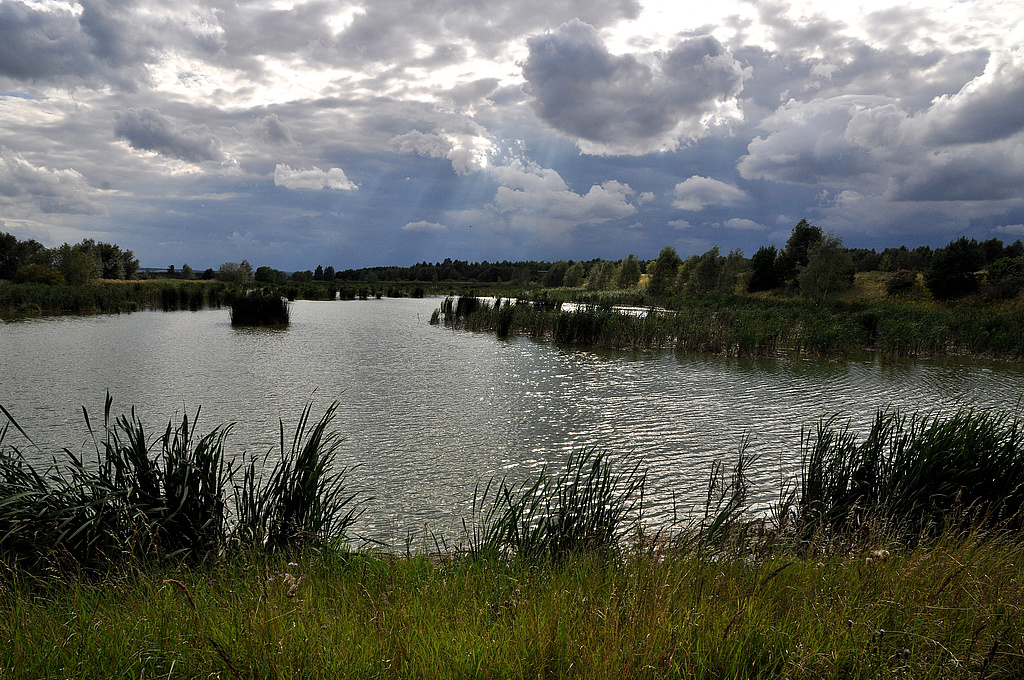 NSG 163, ehemaliges Klärbecken (Gülleabsetzbecken der ehemaligen Schweinemästerei Quaschwitz), regeneriert zu Klarwasserteich, nördlich Volkmannsdorf im Südwesten des NSG „Dreba-Plothener Teichgebiet“ (Saale-Orla-Kreis). (Foto: Holm Wenzel, 14.08.2011)