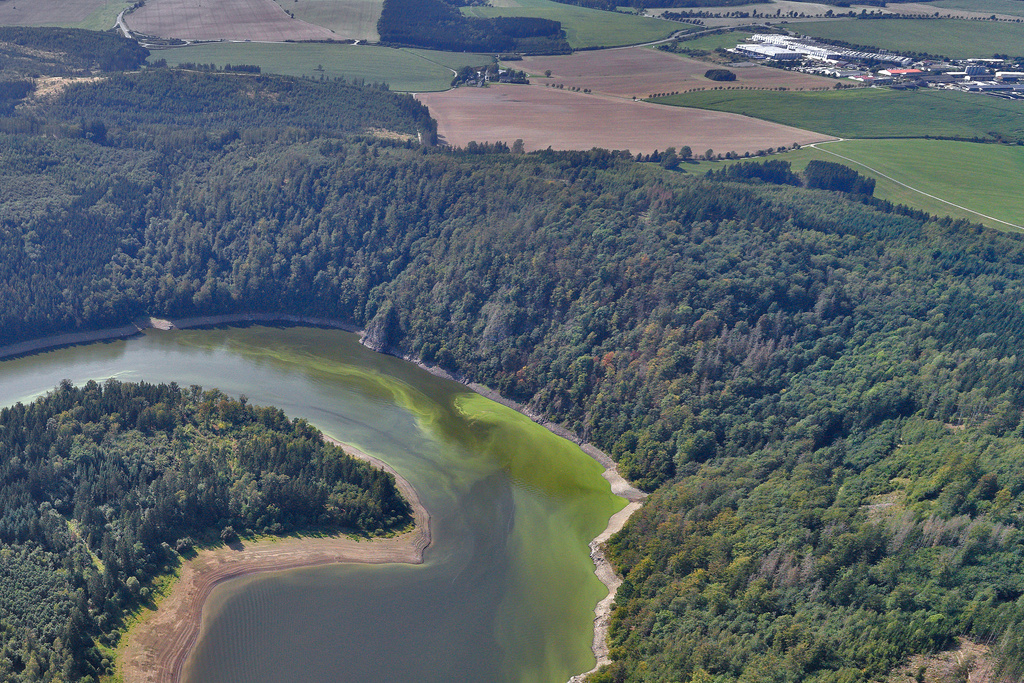 NSG 169, Blick von Nordosten auf das NSG "Heinrichstein" an linksseitigem Prallhang der Saaleschleife der Bleiloch-Talsperre zwischen Saaldorf und Schönbrunn (Saale-Orla-Kreis). Links vorn: der sogenannte Hopfgarten gegenüber dem Heinrichstein, rechts hinten am Bildrand: Gewerbegebiet Schönbrunn. (Foto: V. Lautenbach/ThINK GmbH/Archiv TLUBN, 14.09.2020)