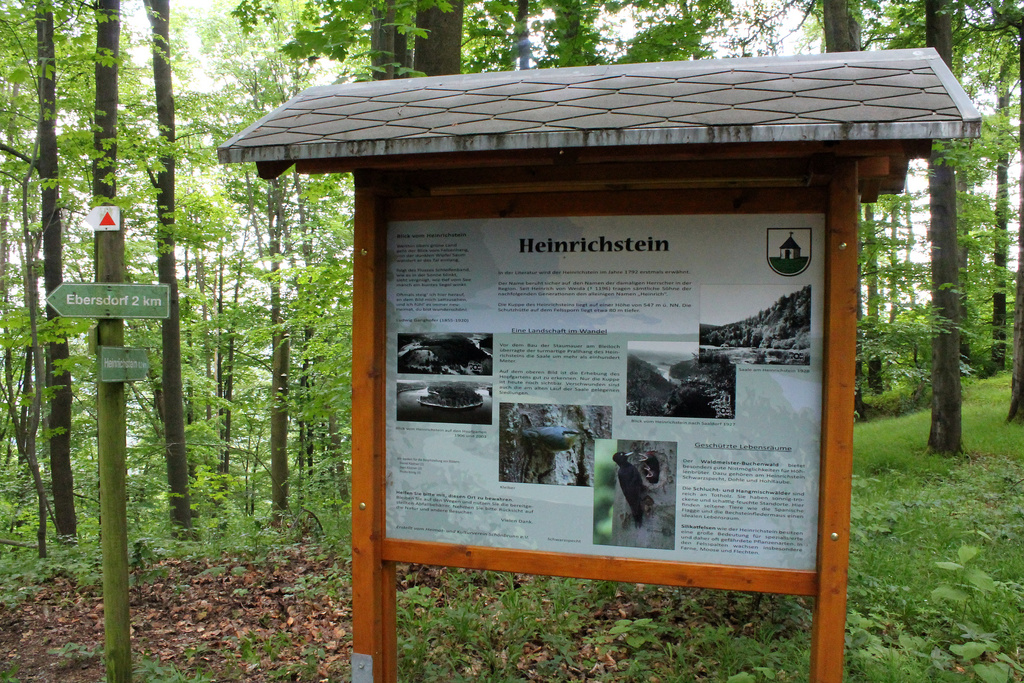 NSG 169, Infotafel des Heimat- und Kulturverein Schönbrunn e. V. an Westgrenze des NSG „Heinrichstein“ unterhalb des Gipfels des Heinrichsteins im Waldmeister-Buchenwald. (Foto: Holm Wenzel, 31.05.2014)