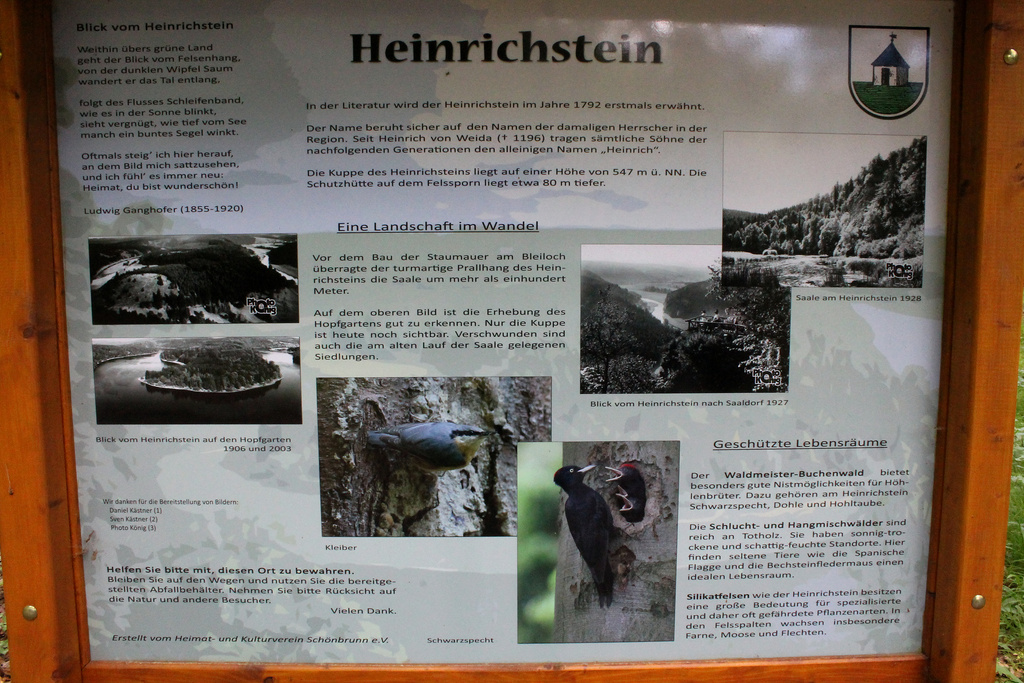 NSG 169, Infotafel des Heimat- und Kulturverein Schönbrunn e. V. an Westgrenze des NSG „Heinrichstein“ unterhalb des Gipfels des Heinrichsteins. (Foto: Holm Wenzel, 31.05.2014)
