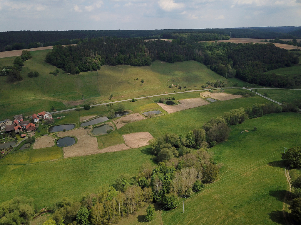 NSG 177, Blick von Südwesten auf das NSG „Kesselborn“ (Saale-Holzland-Kreis) zwischen der Roda (vorn im Bild) und der in der Bildmitte verlaufenden Straße von Erdmannsdorf (links) nach Lippersdorf sowie östlich der Straße nach Weißbach (rechts). (Foto: Holm Wenzel, 17.05.2020)