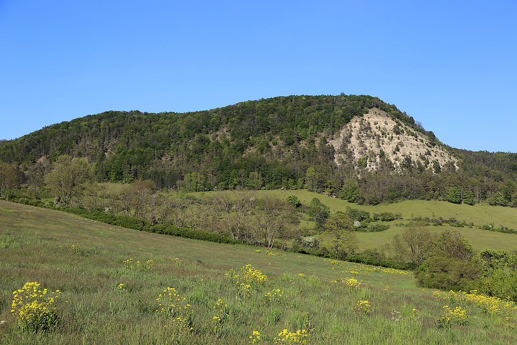 NSG 179, Blick von Südwesten über das Tal des Kährengrabens auf die Westseite des Schönberges mit der „Kuppe“ im NSG „Schönberg“ nördlich Reinstädt (Saale-Holzland-Kreis). Der süd- bis südwestexponierte offene Steilhang unterhalb der Kuppe liegt in der geplanten Erweiterung des NSG. (Foto: Holm Wenzel, 17.05.2020)