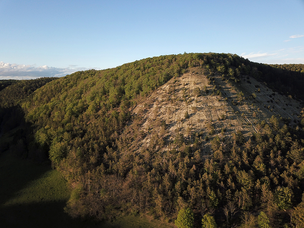 NSG 179; Blick von Südwesten auf die „Kuppe“ und den Westhang des Schönberges im NSG „Schönberg“ nördlich Reinstädt (Saale-Holzland-Kreis). Der süd- bis südwestexponierte offene Steilhang unterhalb der Kuppe liegt in der geplanten Erweiterung des NSG. (Foto: Holm Wenzel, 01.05.2020) 