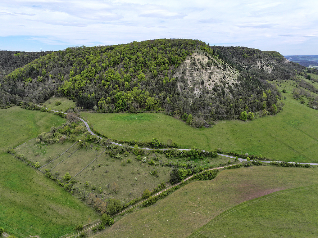 NSG 179, Blick von Südsüdwest über die Straße von Reinstädt nach Milda auf das Massiv des Schönberges nördlich und nordöstlich Reinstädt (Saale-Holzland-Kreis) mit erheblich zugenommenem Gehölzanteil am Süd- und Westhang im Vergleich zu den 1950er Jahren. Zum NSG „Schönberg“ gehören Teile des Plateaus und der Westhang mit der „Kuppe“; eine Erweiterung um den gesamten Südhang und weitere Flächen ist geplant. (Foto: Holm Wenzel, 28.04.2024) 