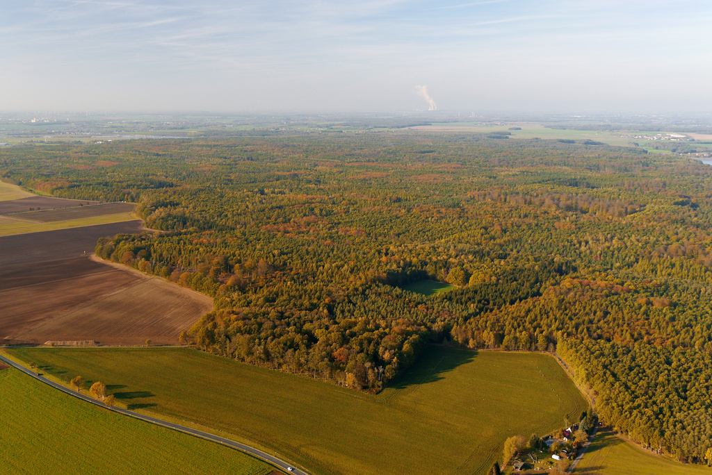 NSG 185, Blick von Südosten (aus Richtung Langenleuba-Niederhain) auf das NSG und FFH-Gebiet "Leinawald" (Landkreis Altenburger Land). Am Bildrand rechts hinten: Talsperre Schömbach, links hinten: Leipzig-Altenburg Airport und Kiesabbaugewässer bei Nobitz und Wilchwitz. (Foto: D. Hoff & V. Lautenbach/ThINK GmbH/Archiv TLUBN, 31.10.2019)