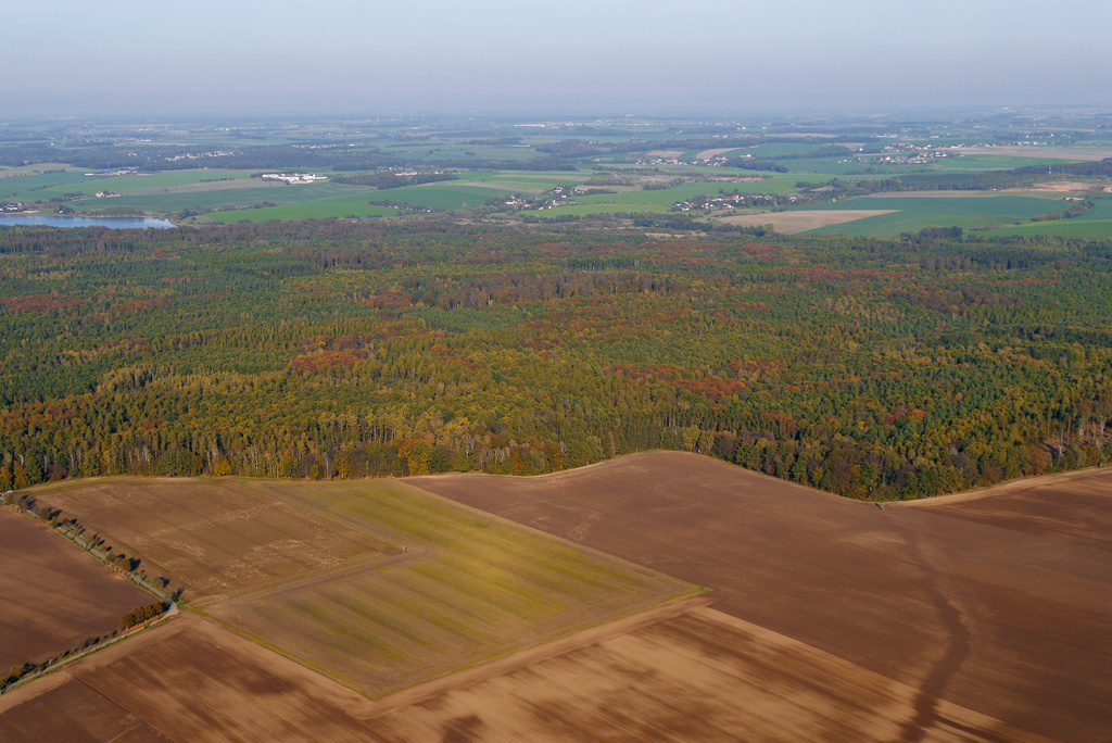NSG 185, Blick von Südwesten aus Richtung Lohma/Zschernichen auf das NSG und FFH-Gebiet "Leinawald" (Landkreis Altenburger Land). Am Bildrand links hinten: Talsperre Schömbach. (Foto: D. Hoff & V. Lautenbach/ThINK GmbH/Archiv TLUBN, 31.10.2019)