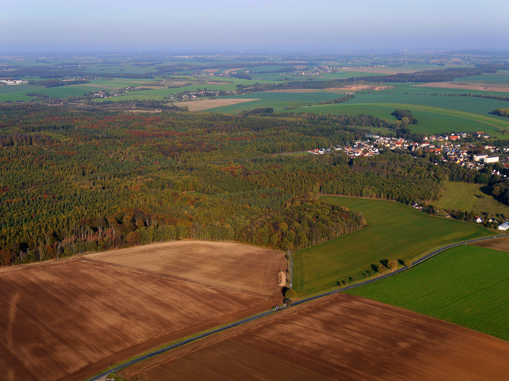 NSG 185, Blick von Südwesten auf den südöstlichen Teil des NSG "Leinawald" bei Langenleuba-Niederhain (Landkreis Altenburger Land). (Foto: D. Hoff & V. Lautenbach/ThINK GmbH/Archiv TLUBN, 31.10.2019)
