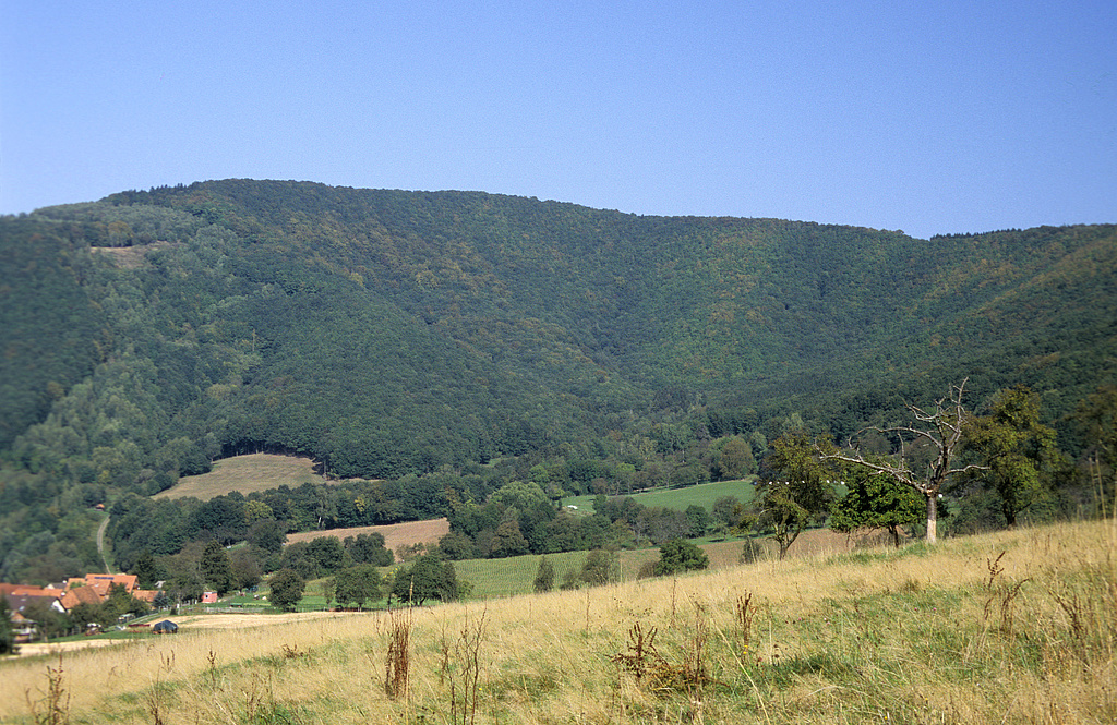 NSG 194, Blick von Süden auf den bewaldeten Steilhangbogen des NSG „Kelle-Teufelskanzel“ im Werratal (Landkreis Eichsfeld) mit extensiv genutztem Grünland am Unterhang. Links: der ehemalige Grenzstreifen, der auch zum Nationalen Naturmonument „Grünes Band Thüringen“ gehört; links vorn: Lindewerra. (Foto: Holm Wenzel, 27.09.2009)