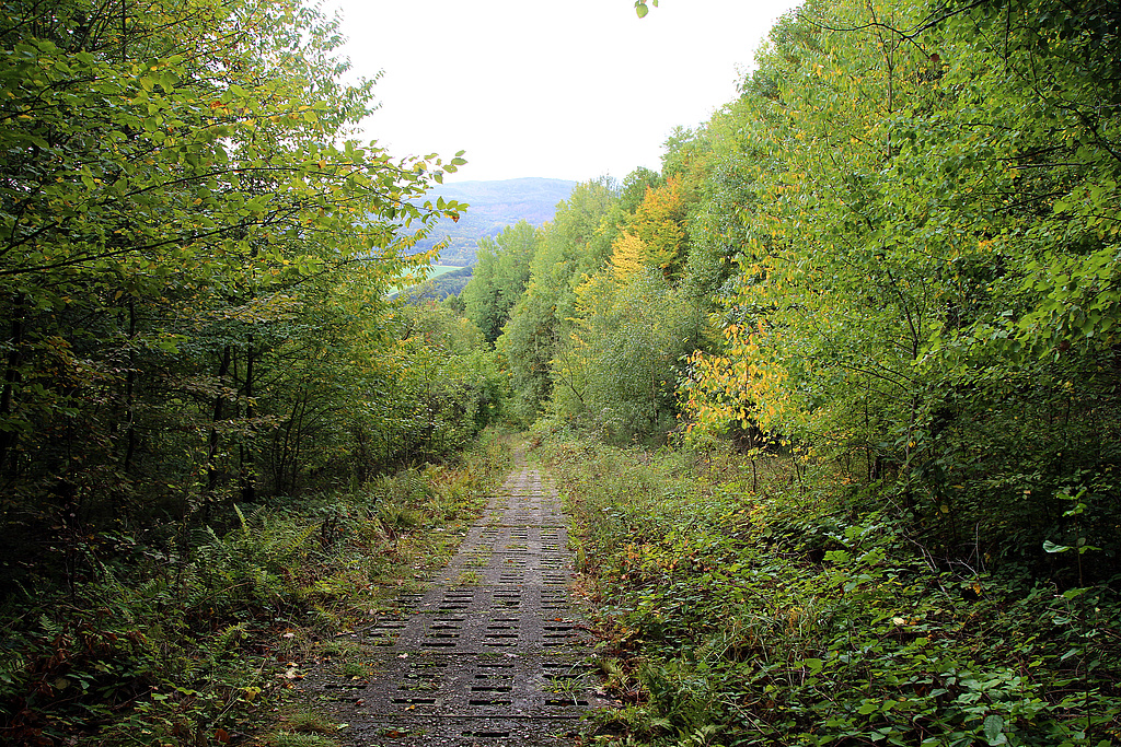 NSG 194, Blick nach Süden im ehemaligen Grenzstreifen, der auch zum Nationalen Naturmonument „Grünes Band Thüringen“ gehört; im Nordwesten des NSG „Kelle-Teufelskanzel“. (Foto: Holm Wenzel, 10.10.2020)