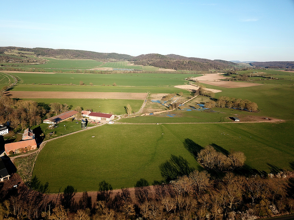 NSG 210, Blick von Westen auf die südliche, kleinere Teilfläche „Im Nesselbusch“ des NSG „Wilhelmsglücksbrunn“ (Wartburgkreis) mit dem Salzgraben. Links: Stiftsgut Wilhelmsglücksbrunn. (Foto: Holm Wenzel, 16.04.2022)