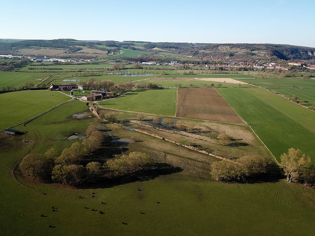 NSG 210, Blick von Süden auf die westliche Hälfte der südlichen, kleineren Teilfläche „Im Nesselbusch“ des NSG „Wilhelmsglücksbrunn“ (Wartburgkreis) mit dem Salzgraben. Bildmitte halblinks: Stiftsgut Wilhelmsglücksbrunn, dahinter: gesamte nördliche Teilfläche des NSG, hinten rechts: Creuzburg. (Foto: Holm Wenzel, 16.04.2022)